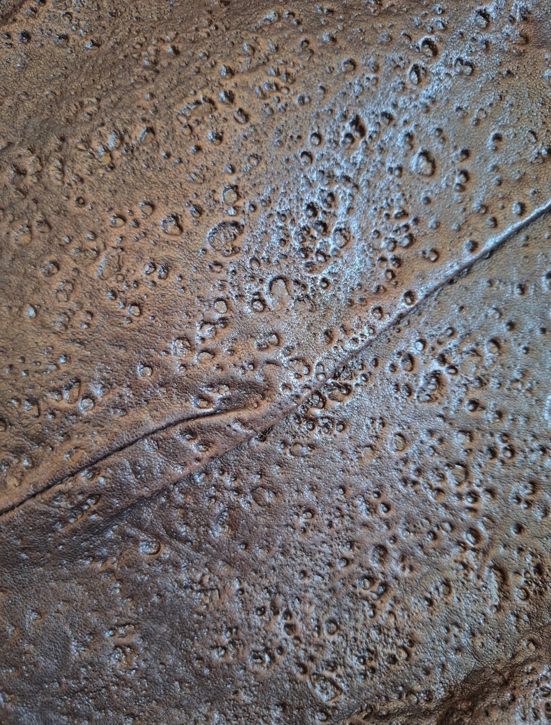 RARE Save The Queen Bag